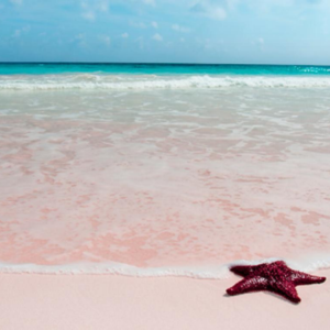 Scenic view of a pink sand beach in Harbour Island, Eleuthera, Bahamas.