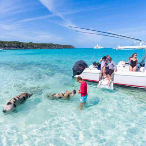 Crystal-clear water with tourists feeding pigs in the water, with a yacht in the background, at Pig Beach, Big Major Cay, The Exumas, Bahamas.
